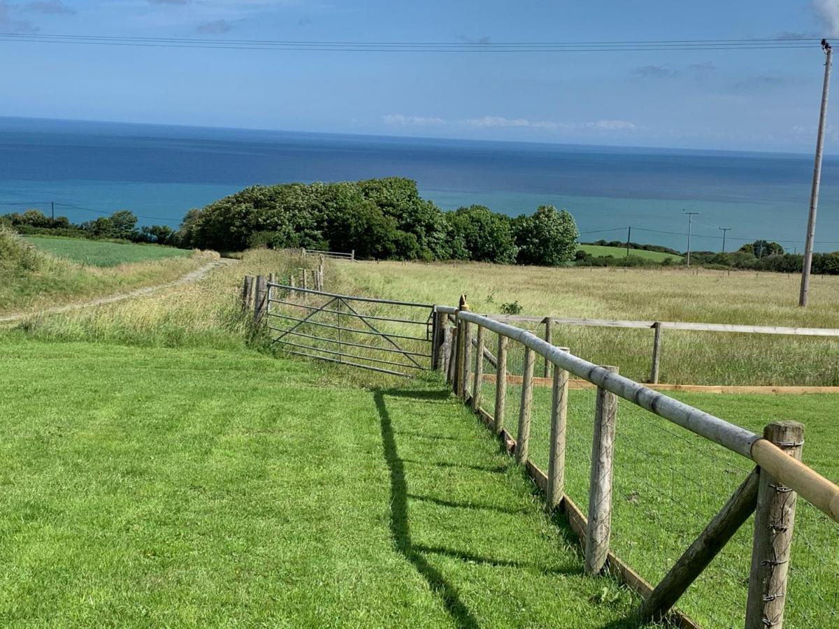 Byre Cottages & Log Cabin Cardigan Bagian luar foto