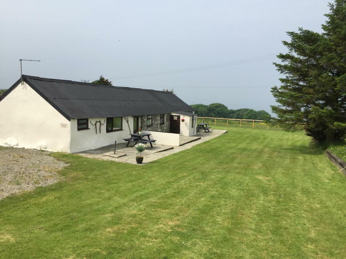 Byre Cottages & Log Cabin Cardigan Bagian luar foto