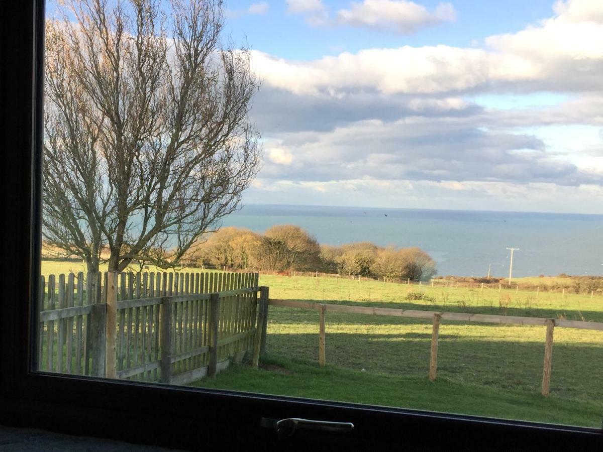 Byre Cottages & Log Cabin Cardigan Bagian luar foto